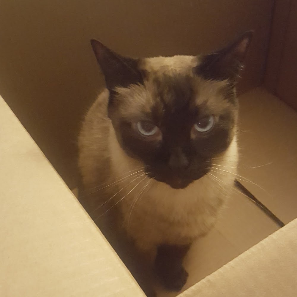 Meet your Posher, Kookaburras